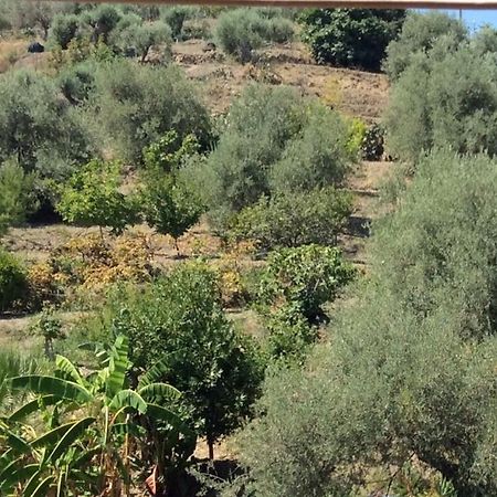 קלטביאנו B&B Domus Candida מראה חיצוני תמונה